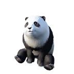 熊猫外观方案 1