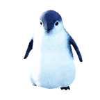 企鹅外观方案 2