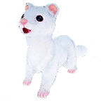 雪貂宠物图标