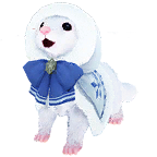 雪貂外观方案 2