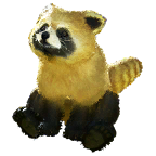 小熊猫外观方案 2