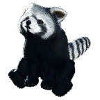 小熊猫宠物图标
